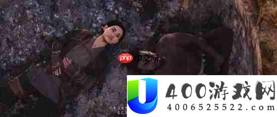 刺客信条影双主角无法同时上场