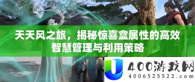 天天风之旅，揭秘惊喜盒属性的高效智慧管理与利用策略