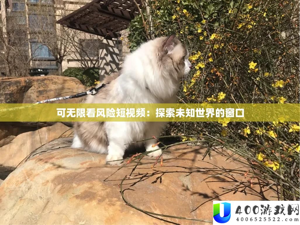 可无穷看风险短视频：索求未知世界的窗口