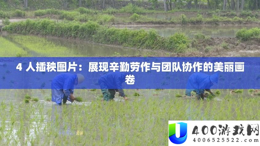 4 人插秧图片：显现辛苦劳作与团队合作的美丽画卷