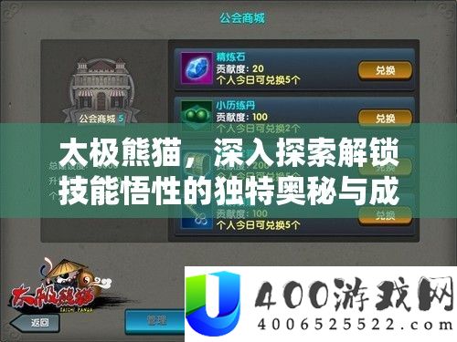 太极熊猫，深化索求解锁技艺悟性的怪异奥妙与生长之旅