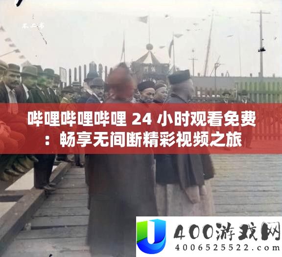 哔哩哔哩哔哩 24 小时旁观收费：畅享无中断精彩视频之旅