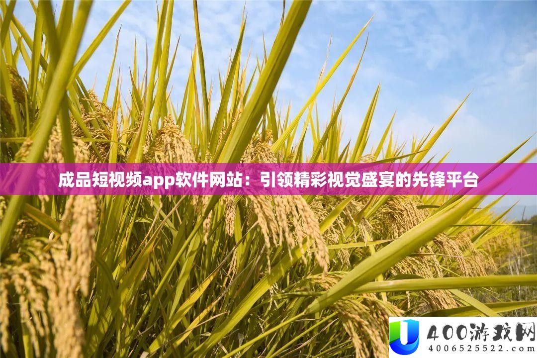 成品短视频app软件网站：引领精彩视觉盛宴的前锋平台