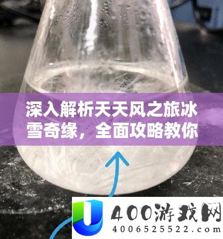 深入解析天天风之旅冰雪奇缘，全面攻略教你如何高效获取雪花结晶