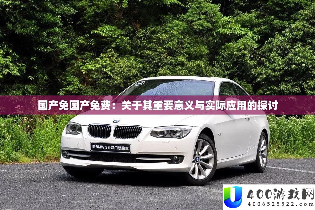 国产免国产免费：关于其重要意义与实际应用的探讨