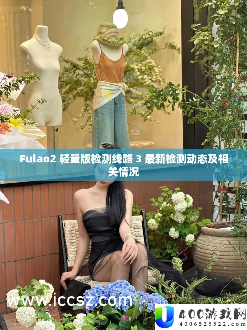 Fulao2 轻量版检测线路 3 最新检测动态及相关情形