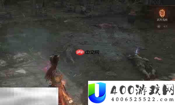 烁光红羽材料用途分享