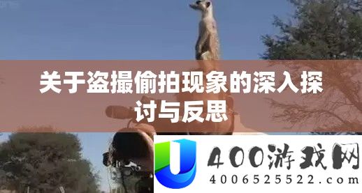 关于盗撮偷拍现象的深入探讨与反思