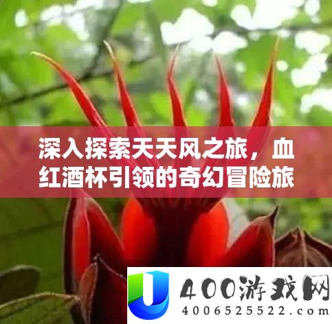 深化索求每天风之旅，血红羽觞引领的奇异冒险旅程揭秘