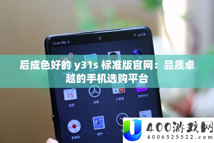 后成色好的 y31s 标准版官网：品质卓越的手机选购平台