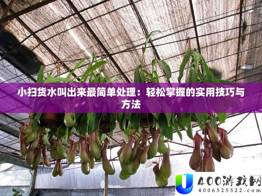 小扫货水叫出来最简单处理：轻松掌握的实用技巧与方法