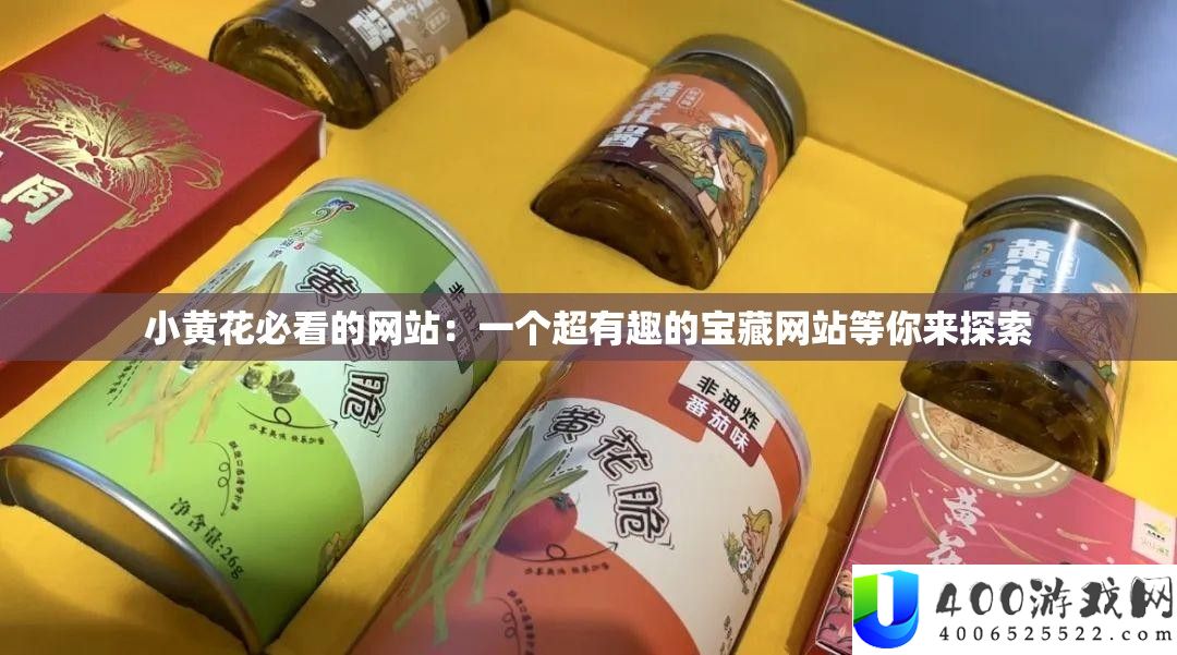 小黄花必看的网站：一个超风趣的宝藏网站等你来索求