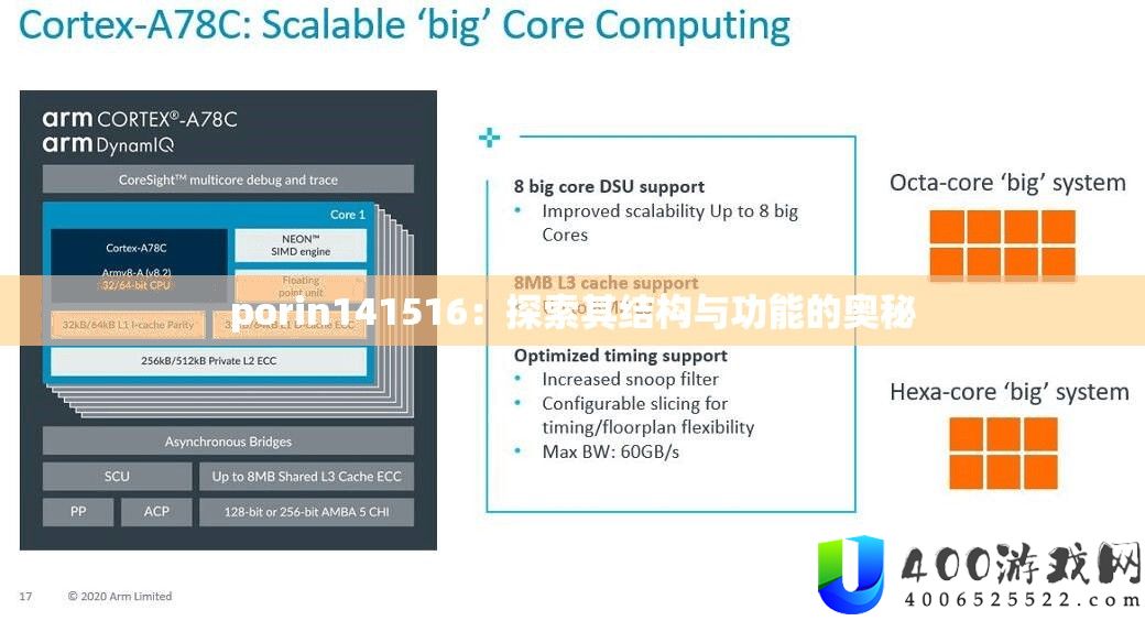 porin141516：索求其构造与功能的奥妙