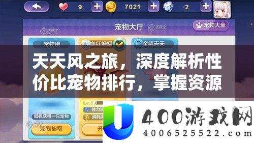 每天风之旅，深度分析性价比宠物排名，把握资本经管的高效艺术