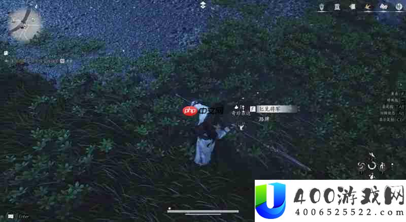 燕云奇珍蹊跷收集介绍
