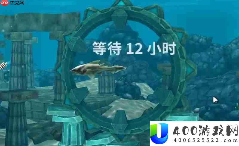 电鲨任务流程攻略