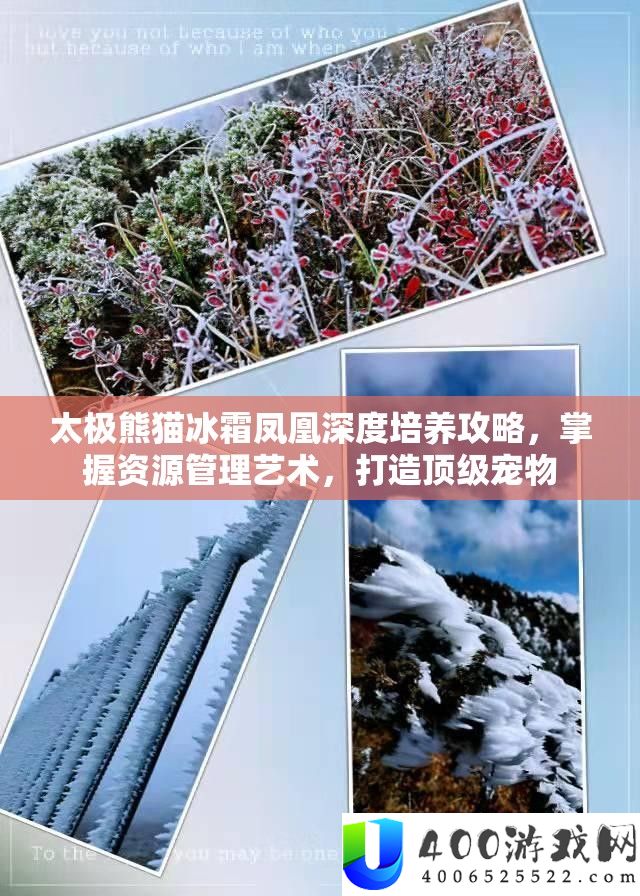 太极熊猫冰霜凤凰深度培养攻略,掌握资源管理艺术,打造顶级宠物