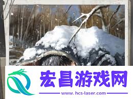 光与夜之恋夏鸣星晦夜惜光卡面怎样爆料-光与夜之恋夏鸣星晦夜惜光卡面爆料方法
