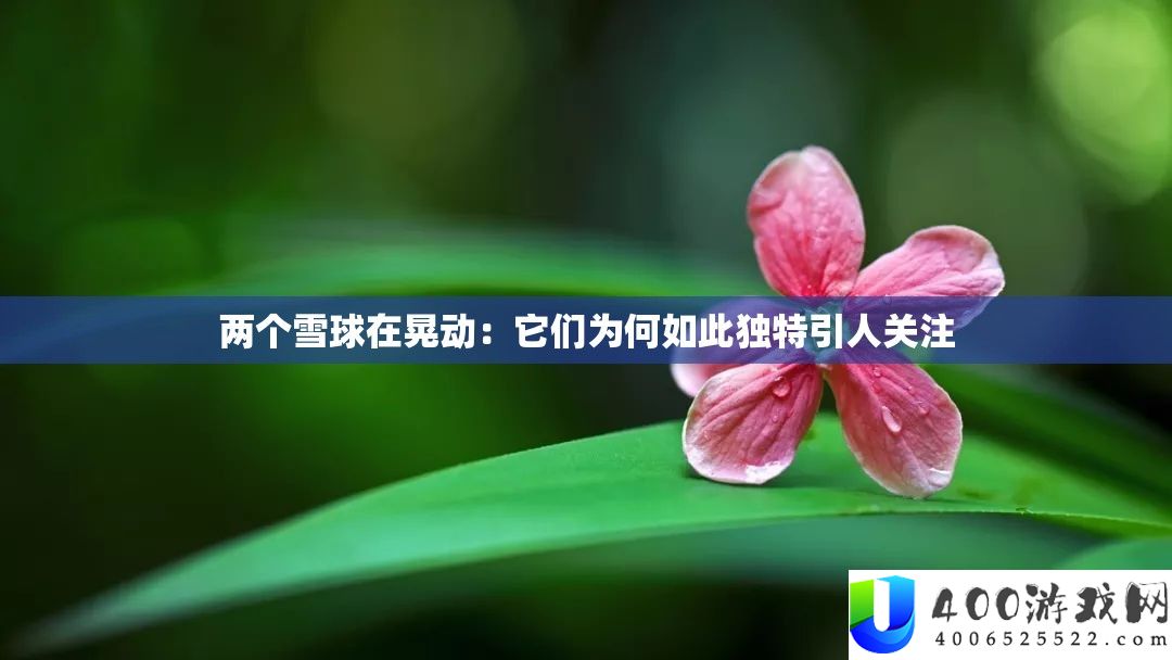 两个雪球在晃悠：它们为何如斯怪异引人关注