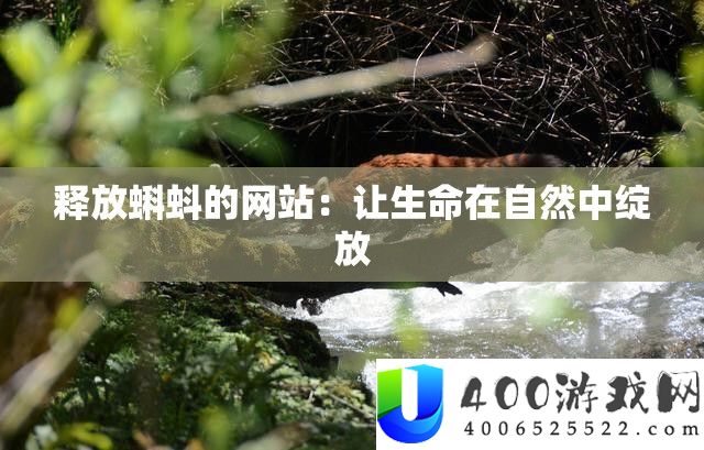 开释蝌蚪的网站：让生命在天然中绽放