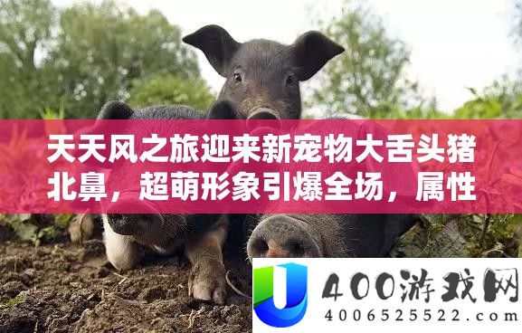 每天风之旅迎来新宠物大舌头猪北鼻，超萌形象引爆全场，属性细节周全揭秘
