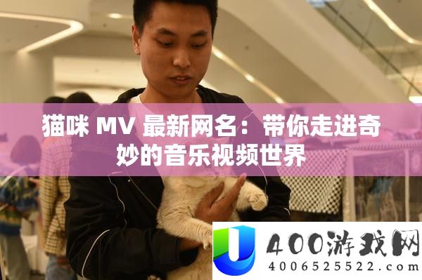 猫咪 MV 最新网名：带你走进巧妙的音乐视频世界