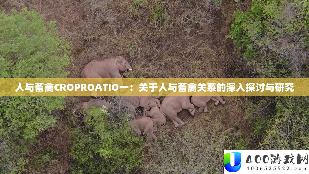 人与畜禽CROPROATIO一：关于人与畜禽关系的深化切磋与研讨