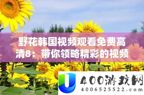 野花韩国视频观看免费高清8：带你领略精彩的视频世界