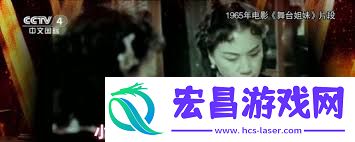 小飞电视的使用方法