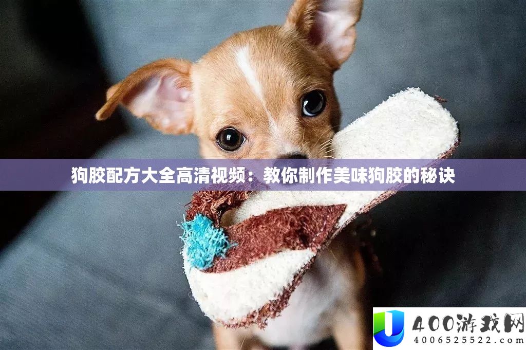 狗胶配方大全高清视频：教你制作美味狗胶的秘诀