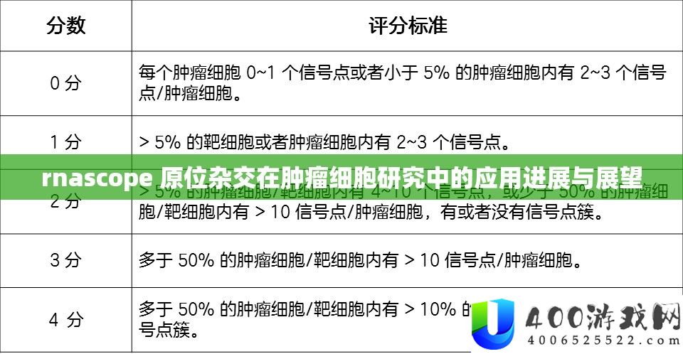 rnascope 原位杂交在肿瘤细胞研讨中的应用停顿与瞻望