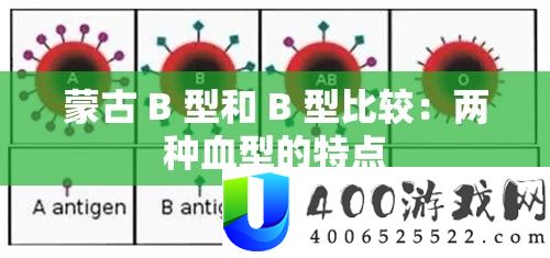 蒙古 B 型和 B 型比较：两种血型的特点