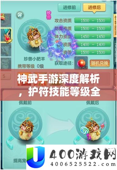 神武手游深度解析，护符技能等级全攻略与资源管理艺术探讨