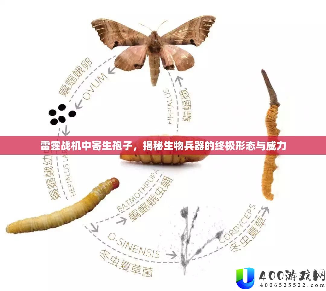 雷霆战机中寄生孢子，揭秘生物兵器的终极形态与威力