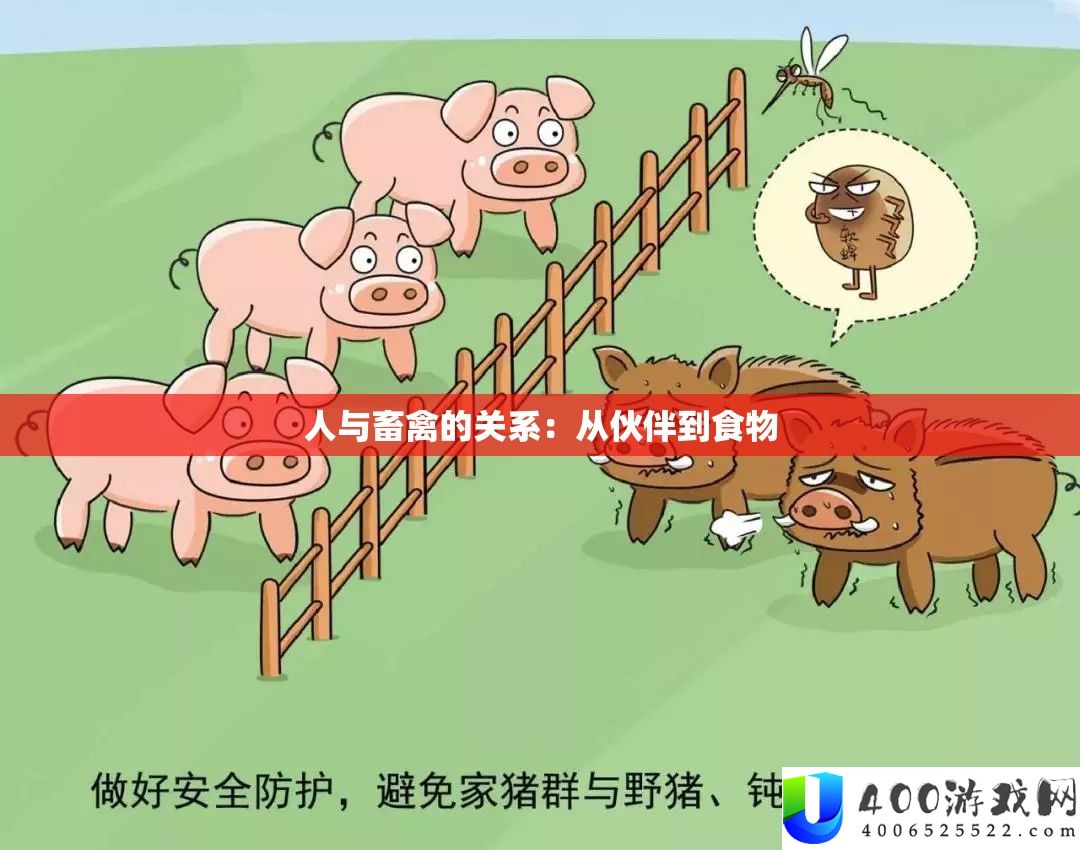 人与畜禽的关系：从火伴到食物