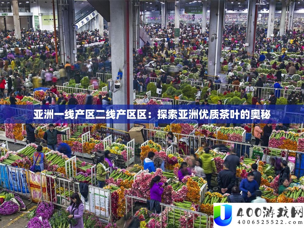 亚洲一线产区二线产戋戋：索求亚洲优秀茶叶的奥妙