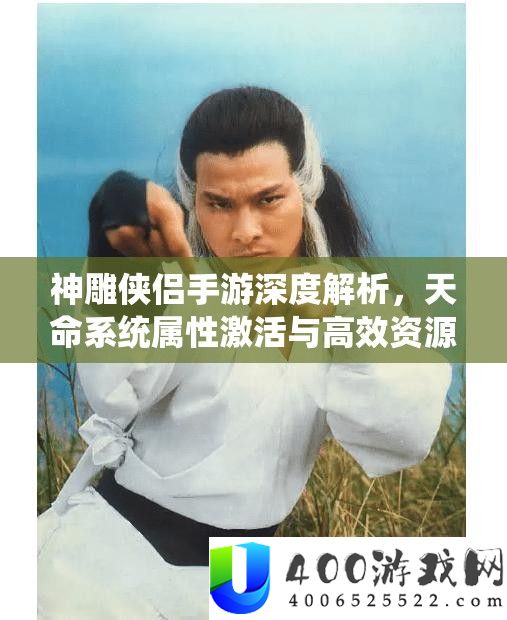 神雕侠侣手游深度分析，天命系统属性激活与高效资本经管艺术