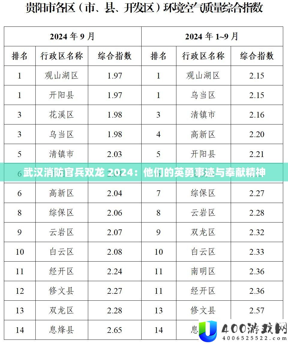 武汉消防官兵双龙 2024：他们的英勇事迹与奉献精神