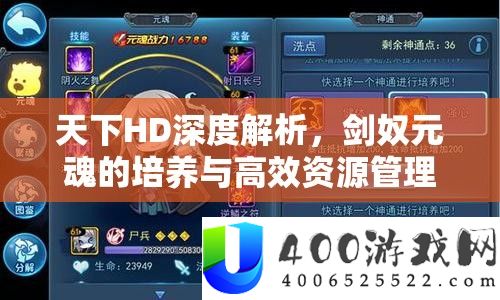 天下HD深度解析，剑奴元魂的培养与高效资源管理艺术