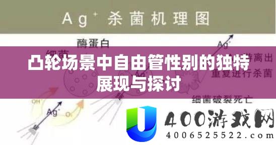 凸轮场景中自在管性此外怪异显现与切磋