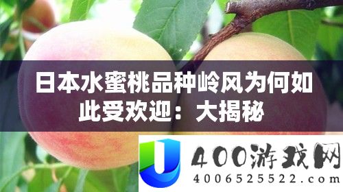 日本水蜜桃品种岭风为何如此受欢迎
