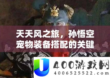 每天风之旅，孙悟空宠物设备搭配的关头性及高效资本经管技巧分析