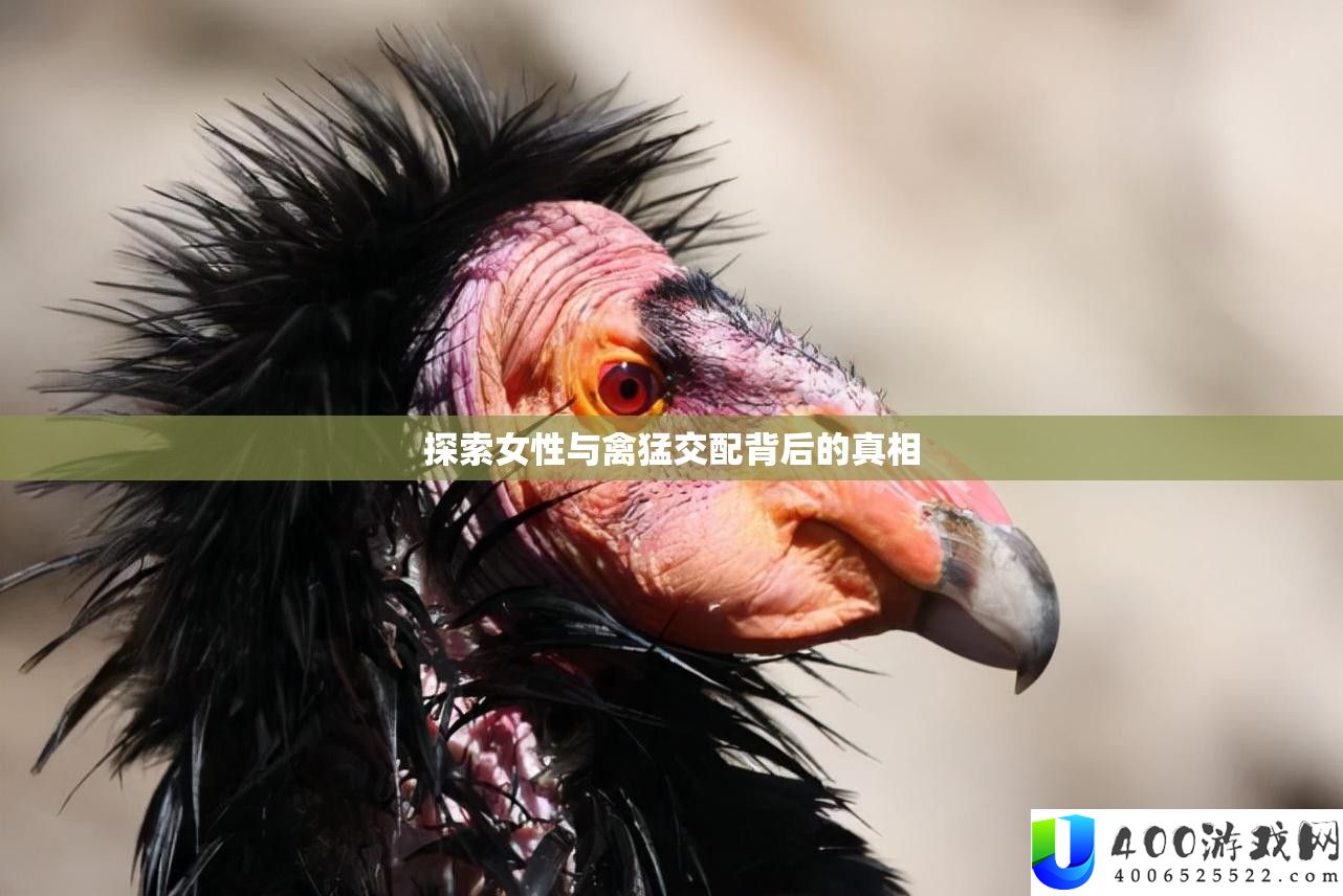 索求女性与禽猛交配背地的实情