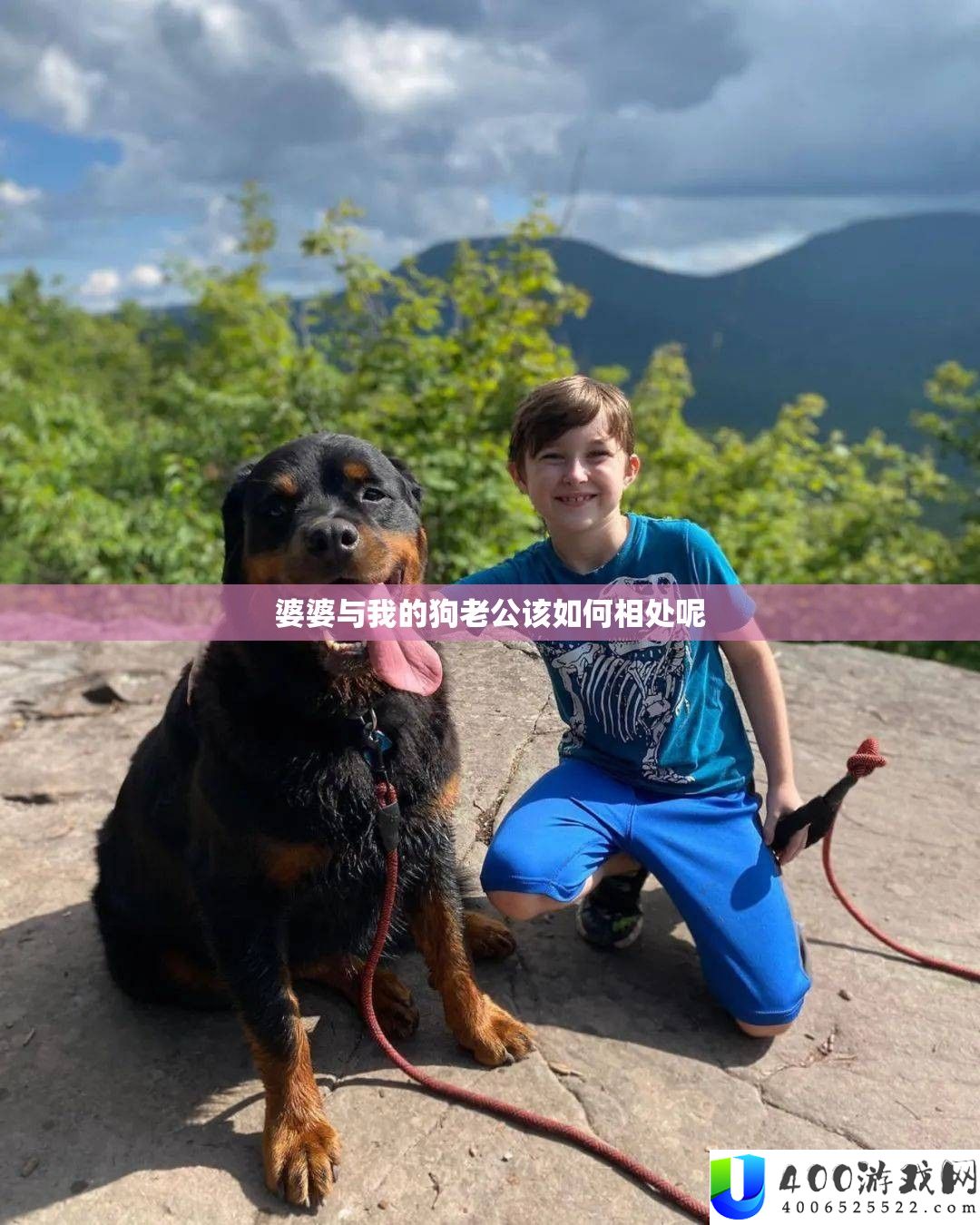婆婆与我的狗老公该如何相处呢