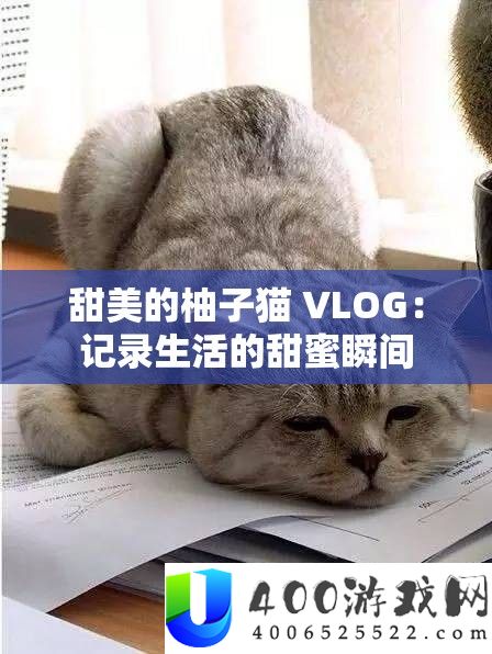 甜美的柚子猫 VLOG：记录生活的甜蜜瞬间