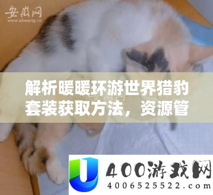分析暖暖环游世界猎豹套装取得攻略，资本经管关头性及高效实行技巧