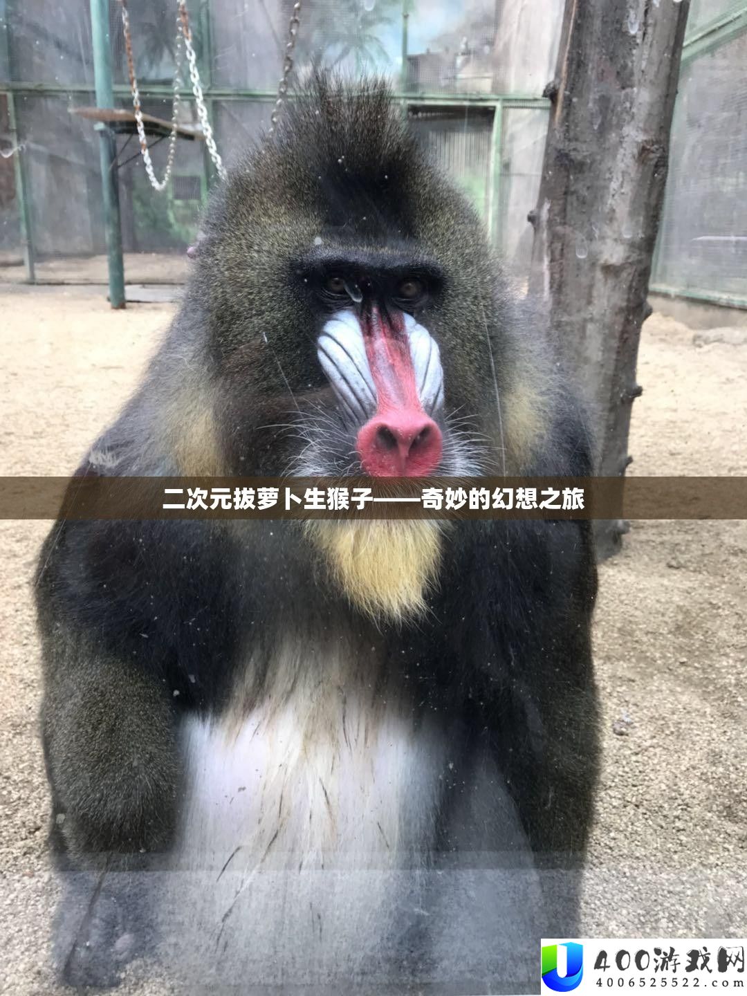 二次元拔萝卜生猴子——奇妙的幻想之旅