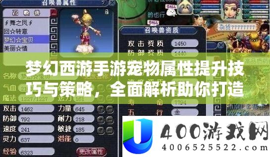 梦幻西游手游宠物属性提升技巧与策略，全面解析助你打造顶级宠物