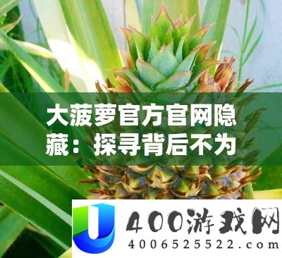 大菠萝官方官网潜藏：探访背地不为人知的秘密