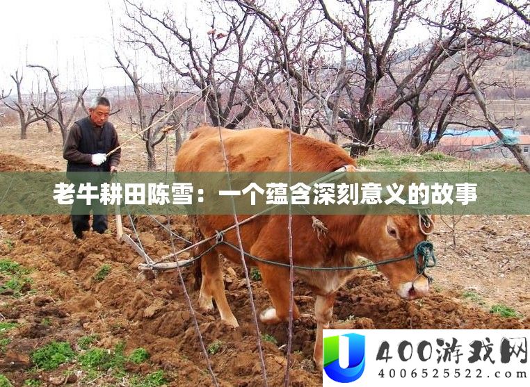 老牛种田陈雪：一个包含深入意义的故事